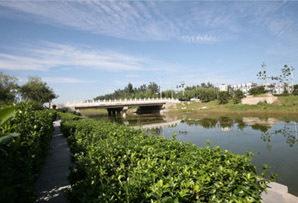 見證升華成長，實現(xiàn)新增長 -------新年、新氣象、新發(fā)展